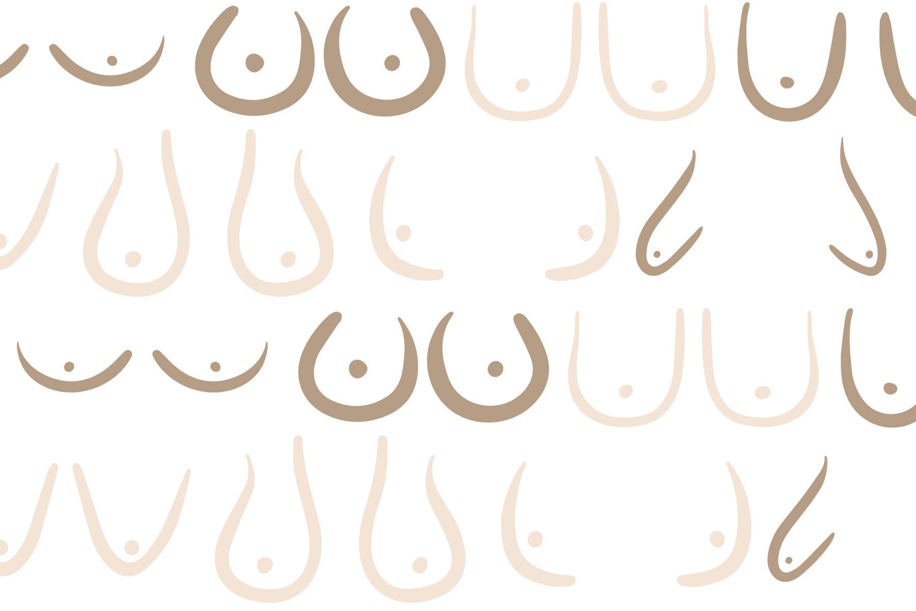 Lingerie 101 - Meet the Ladies